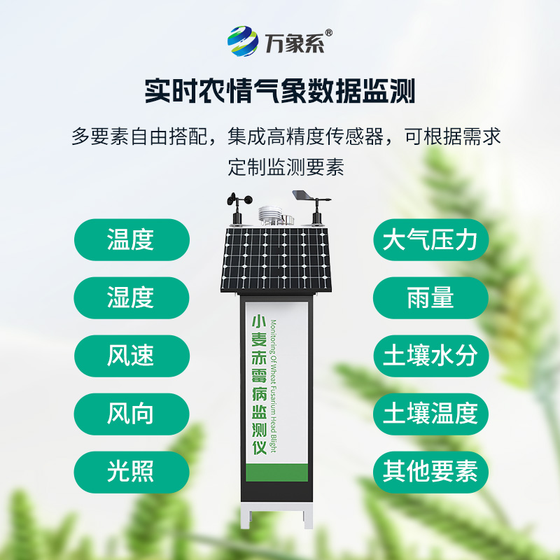 小麥赤霉病監測儀在麥田中的作用