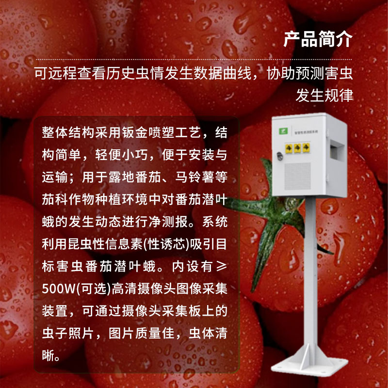 番茄潛葉蛾智慧性誘測報系統