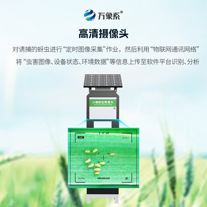 小麥蚜蟲(chóng)在線監(jiān)測(cè)系統(tǒng)
